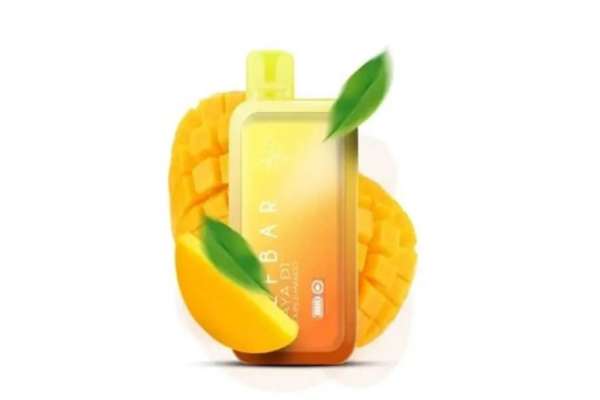 Elfbar Raya D1  Double Mango