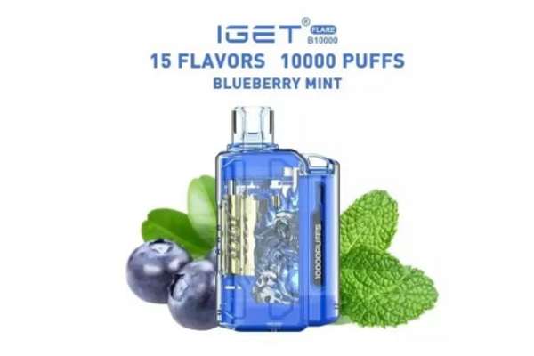 IGET FLARE B10000  Blueberry Mint